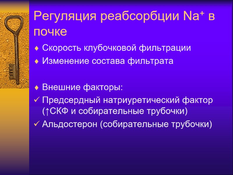 Регуляция реабсорбции Na+ в почке Скорость клубочковой фильтрации Изменение состава фильтрата  Внешние факторы: